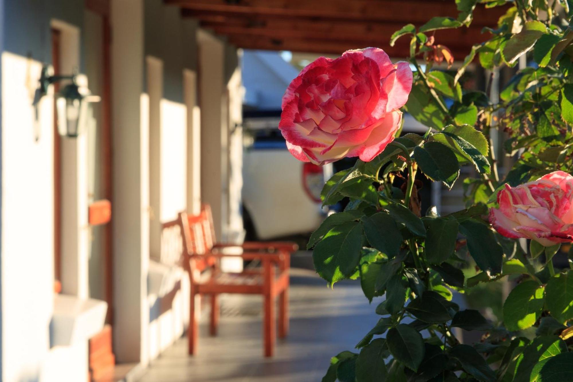 Mount Currie Inn Kokstad  Zewnętrze zdjęcie